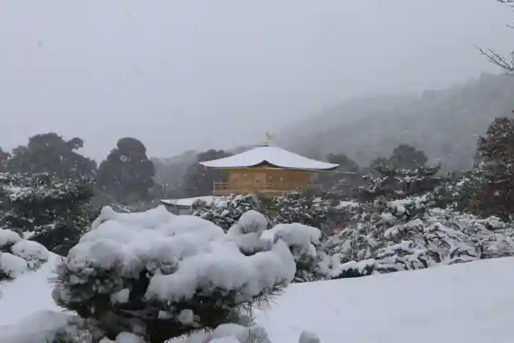 鹿苑寺(金閣寺)の{uncategorized: "未分類", other: "その他", undefined: "問題あり", building: "その他建物", grave: "お墓", sacred_gate: "鳥居", guardian: "狛犬", statue: "像", buddha: "仏像", history: "歴史", nature: "自然", garden: "庭園", animal: "動物", pagoda: "塔", temizu: "手水舎", mountain_gate: "山門・神門", sanctuary: "本殿・本堂", subordinate: "末社・摂社", art: "芸術", scenery: "景色", jizo: "地蔵", ema: "絵馬", goshuin: "御朱印", omikuji: "おみくじ", items: "授与品その他", amulet: "お守り", goshuincho: "御朱印帳", eats: "食事", festival: "お祭り", votive_dance: "神楽", shichigosan: "七五三参", wedding: "結婚式", experience: "体験その他", initially: "初詣", around: "周辺", anti_infection: "感染症対策"}