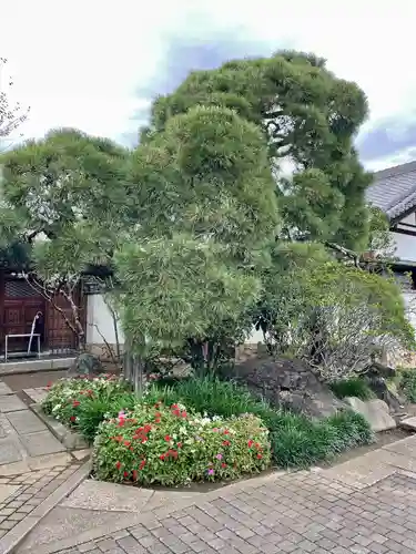 常行寺（常行三昧寺）(東京都)