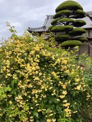 真言宗　善通寺派　薬王寺(香川県)
