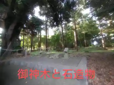 五社神社(神奈川県)