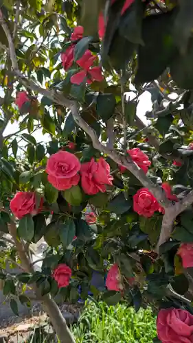 大松禅寺の自然