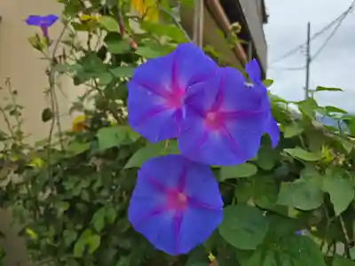 養楽寺(大阪府)