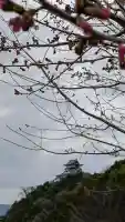 姫亀神社(愛知県)