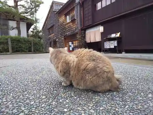 宇多須神社(石川県)