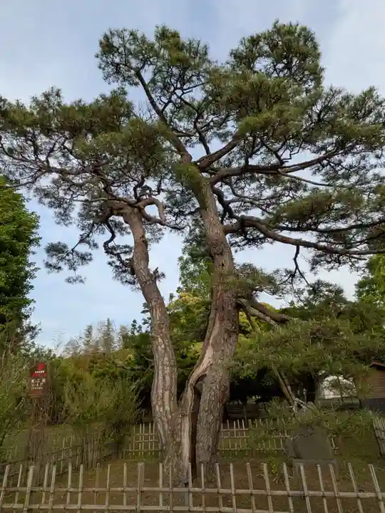 滑河山龍正院(千葉県)