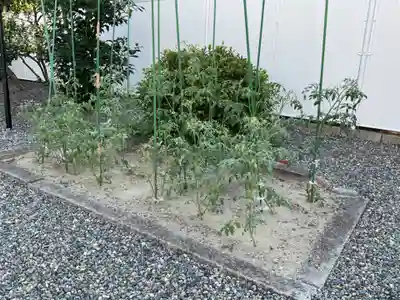 月笑寺(愛知県)