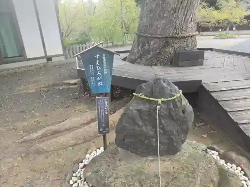 平野神社(京都府)