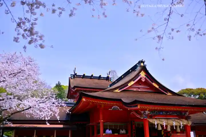 富士山本宮浅間大社(静岡県)
