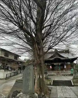 滝野川八幡神社(東京都)