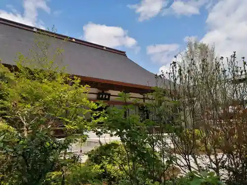 龍潭寺の本殿・本堂