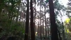 天の岩戸神社(三重県)