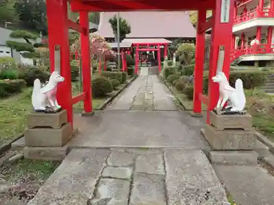 白狐山光星寺の狛犬