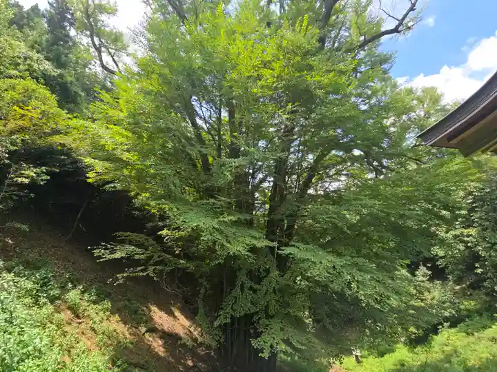 正法寺(滋賀県)
