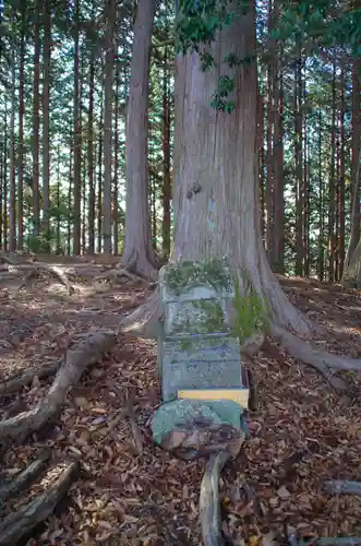 高水山常福院の自然