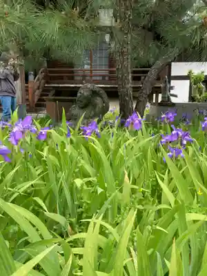 得浄明院(善光寺別院)(京都府)