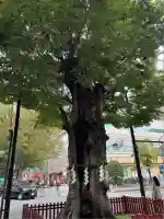 大國魂神社(東京都)