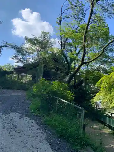 高幡不動尊　金剛寺の景色