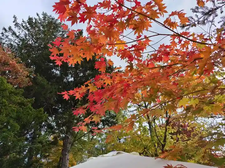旭川神社の自然