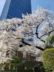 常圓寺の自然