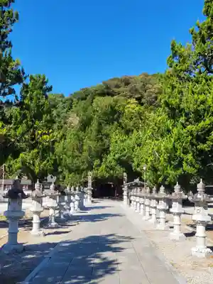 八幡神社(愛媛県)