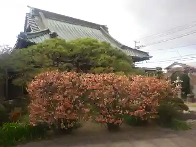 九品寺のその他建物