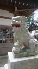 尾津神社の狛犬