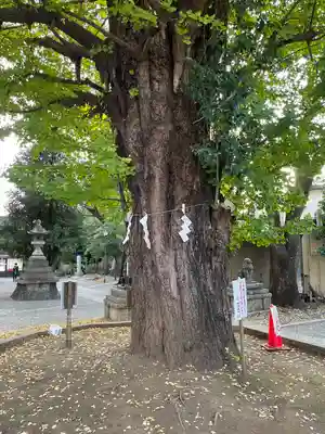 鳩森八幡神社(東京都)