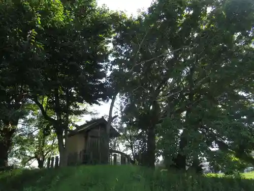 神明神社(千葉県)