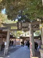 川越氷川神社の鳥居