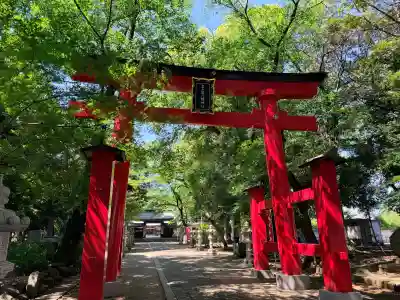 峯ヶ岡八幡神社の{uncategorized: "未分類", other: "その他", undefined: "問題あり", building: "その他建物", grave: "お墓", sacred_gate: "鳥居", guardian: "狛犬", statue: "像", buddha: "仏像", history: "歴史", nature: "自然", garden: "庭園", animal: "動物", pagoda: "塔", temizu: "手水舎", mountain_gate: "山門・神門", sanctuary: "本殿・本堂", subordinate: "末社・摂社", art: "芸術", scenery: "景色", jizo: "地蔵", ema: "絵馬", goshuin: "御朱印", omikuji: "おみくじ", items: "授与品その他", amulet: "お守り", goshuincho: "御朱印帳", eats: "食事", festival: "お祭り", votive_dance: "神楽", shichigosan: "七五三参", wedding: "結婚式", experience: "体験その他", initially: "初詣", around: "周辺", anti_infection: "感染症対策"}