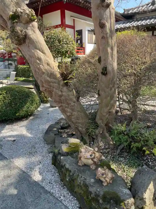 大光寺の{uncategorized: "未分類", other: "その他", undefined: "問題あり", building: "その他建物", grave: "お墓", sacred_gate: "鳥居", guardian: "狛犬", statue: "像", buddha: "仏像", history: "歴史", nature: "自然", garden: "庭園", animal: "動物", pagoda: "塔", temizu: "手水舎", mountain_gate: "山門・神門", sanctuary: "本殿・本堂", subordinate: "末社・摂社", art: "芸術", scenery: "景色", jizo: "地蔵", ema: "絵馬", goshuin: "御朱印", omikuji: "おみくじ", items: "授与品その他", amulet: "お守り", goshuincho: "御朱印帳", eats: "食事", festival: "お祭り", votive_dance: "神楽", shichigosan: "七五三参", wedding: "結婚式", experience: "体験その他", initially: "初詣", around: "周辺", anti_infection: "感染症対策"}