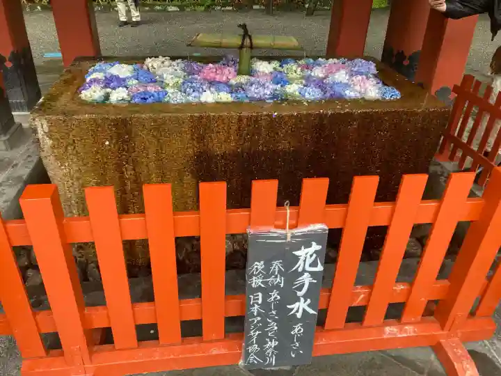 鶴岡八幡宮(神奈川県)