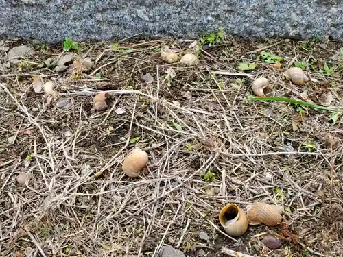 大芋神社のその他建物