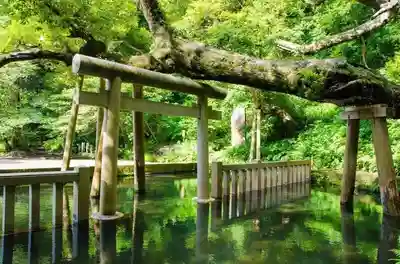 鹿島神宮(茨城県)