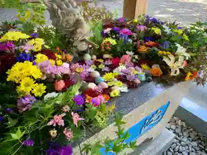 滑川神社 - 仕事と子どもの守り神の手水舎(2020年10月08日(木) 07時21分45秒投稿)