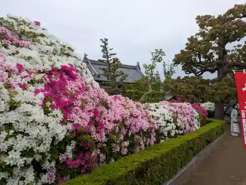 法雲寺(大阪府)