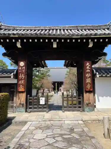 妙顯寺（妙顕寺）の山門・神門