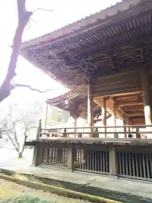 妙本寺の{uncategorized: "未分類", other: "その他", undefined: "問題あり", building: "その他建物", grave: "お墓", sacred_gate: "鳥居", guardian: "狛犬", statue: "像", buddha: "仏像", history: "歴史", nature: "自然", garden: "庭園", animal: "動物", pagoda: "塔", temizu: "手水舎", mountain_gate: "山門・神門", sanctuary: "本殿・本堂", subordinate: "末社・摂社", art: "芸術", scenery: "景色", jizo: "地蔵", ema: "絵馬", goshuin: "御朱印", omikuji: "おみくじ", items: "授与品その他", amulet: "お守り", goshuincho: "御朱印帳", eats: "食事", festival: "お祭り", votive_dance: "神楽", shichigosan: "七五三参", wedding: "結婚式", experience: "体験その他", initially: "初詣", around: "周辺", anti_infection: "感染症対策"}