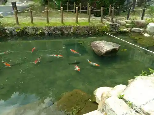 大湫神明神社の庭園