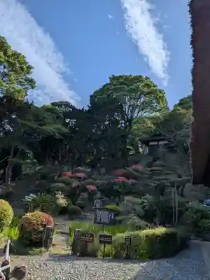 龍華寺(静岡県)