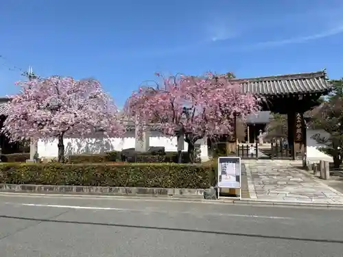 妙顯寺（妙顕寺）の山門・神門