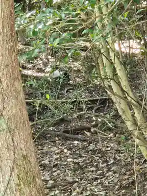 事任八幡宮(静岡県)