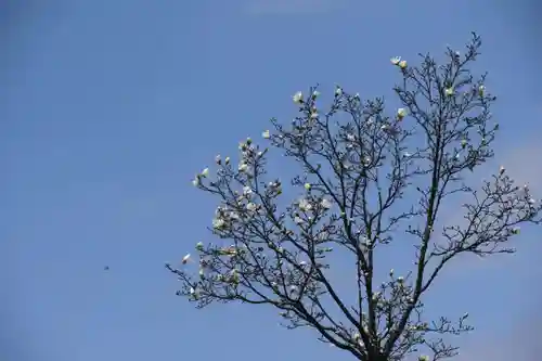 大鏑神社の周辺