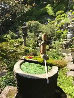 柳谷観音 楊谷寺の手水舎