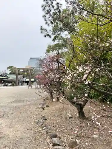 豊國神社の庭園