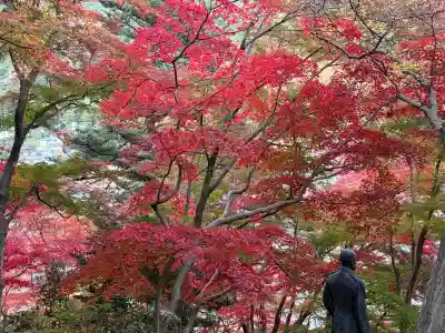秩父御嶽神社(埼玉県)