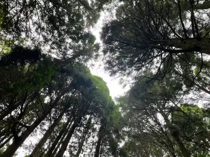 幣立神宮の自然