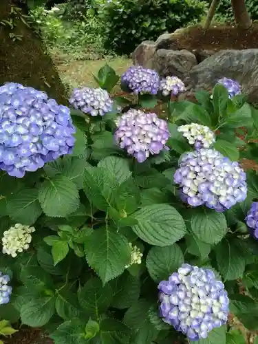 大宝八幡宮の自然
