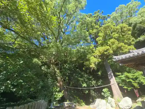 岩屋山 金剛寿院 福勝寺(和歌山県)