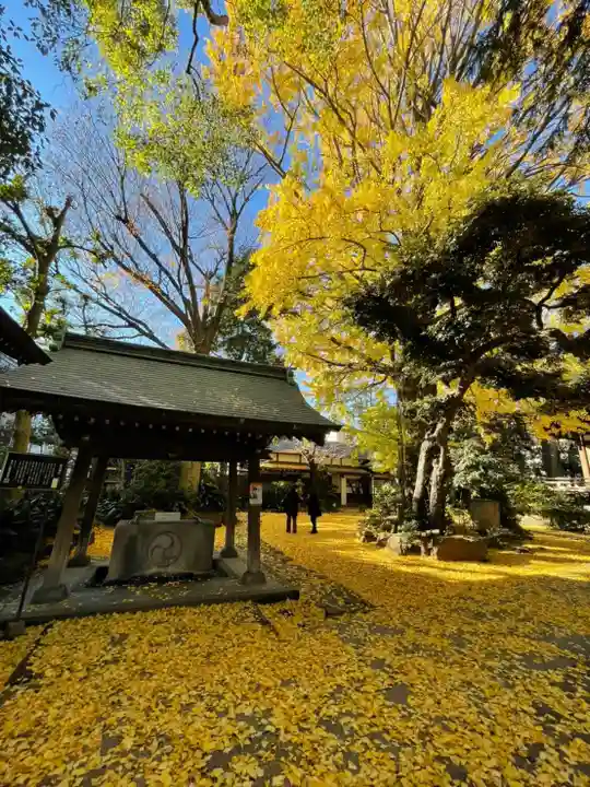 奥澤神社の手水舎